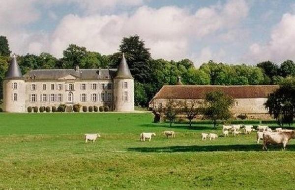 Chateau De Beaujeu Sens-Beaujeu Екстер'єр фото