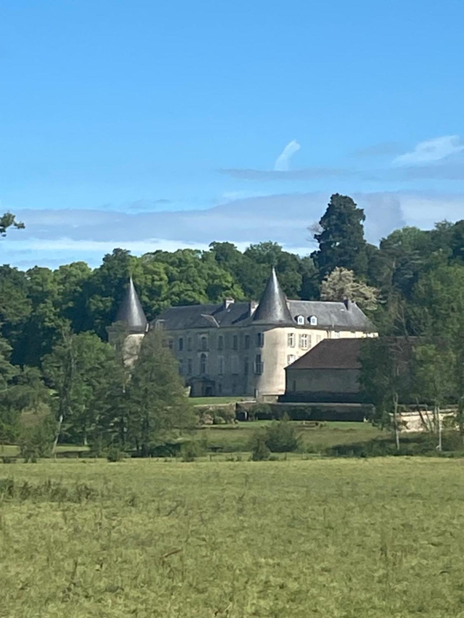 Chateau De Beaujeu Sens-Beaujeu Екстер'єр фото